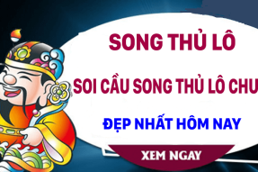 Nuôi song thủ lô khung 2 ngày chính xác ăn liên tục cùng soicau888