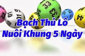 Nuôi bạch thủ lô khung 5 ngày XSMB miễn phí ăn liên tục