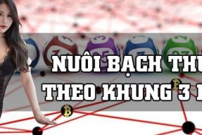 Nuôi bạch thủ lô khung 3 ngày miền Bắc chiến thắng hôm nay