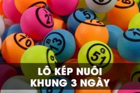 Nuôi lô kép khung 3 ngày luôn thắng miễn phí hôm nay