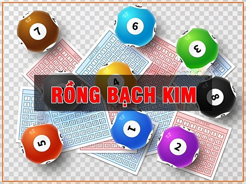 Kinh nghiệm soi cầu Rồng bạch kim 247 hiệu quả nhất