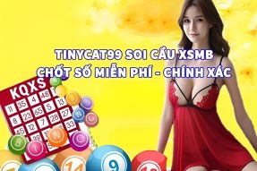 Tynicat99 soi cầu dự đoán số lô đẹp chuẩn xác nhất miễn phí