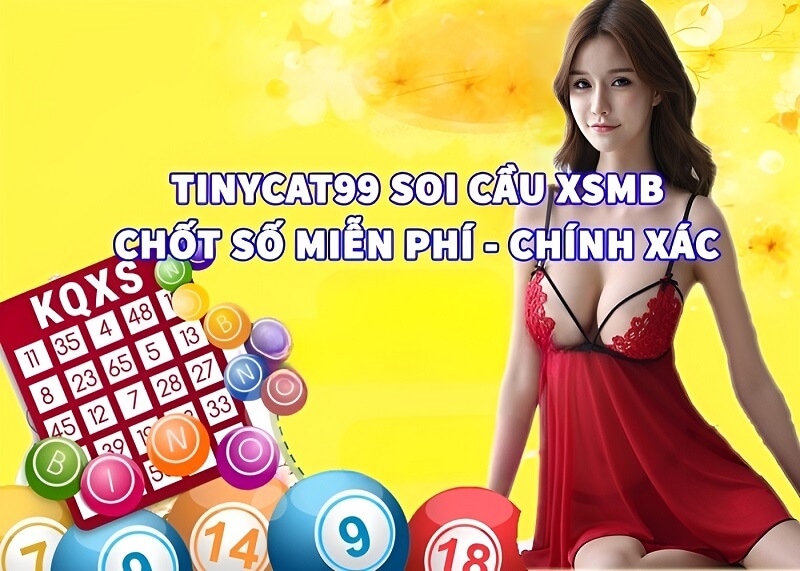 Tynicat99 soi cầu là gì?