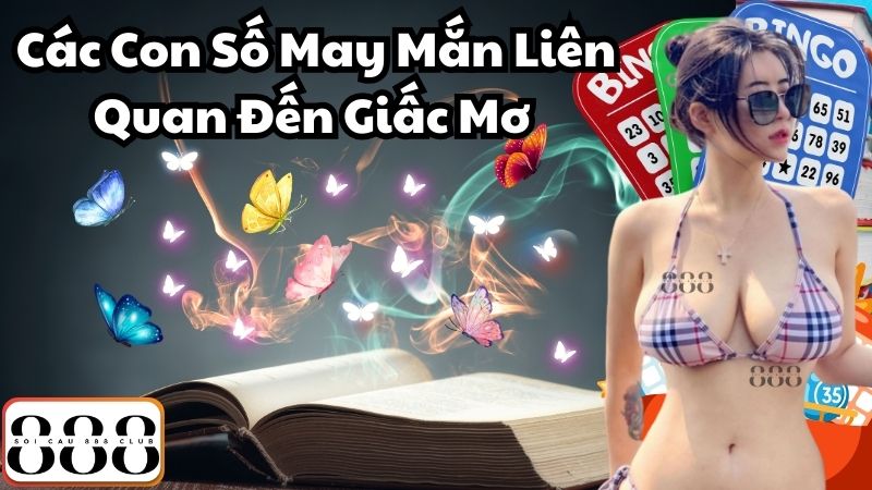 Các Con Số May Mắn Liên Quan Đến Giấc Mơ 