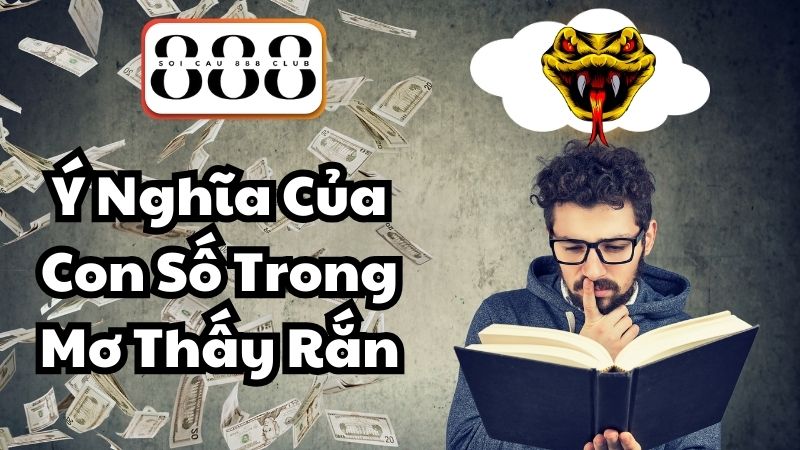 Ý Nghĩa Của Con Số Trong Mơ Thấy Rắn