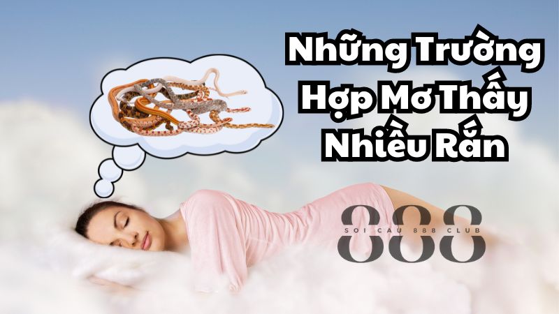 Những Trường Hợp Mơ Thấy Nhiều Rắn Thường Gặp