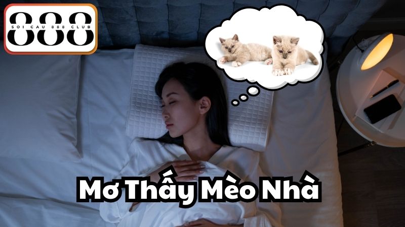 Mơ Thấy Mèo Nhà