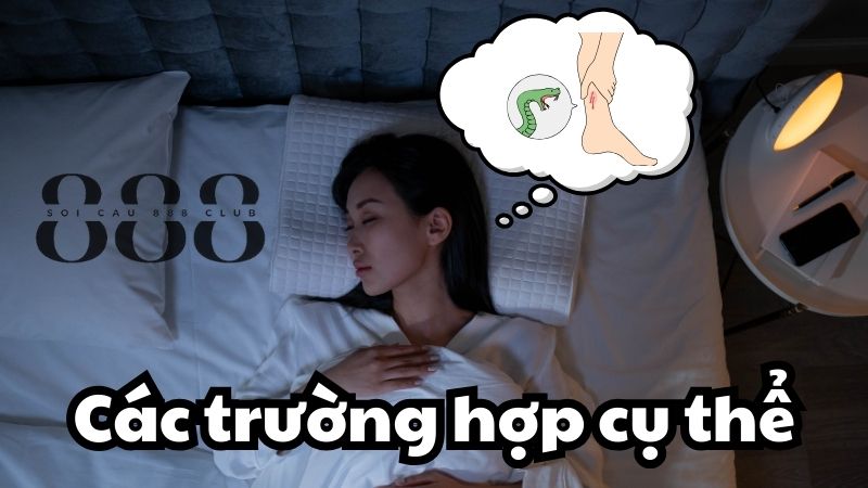 Các trường hợp cụ thể của giấc mơ thấy rắn cắn