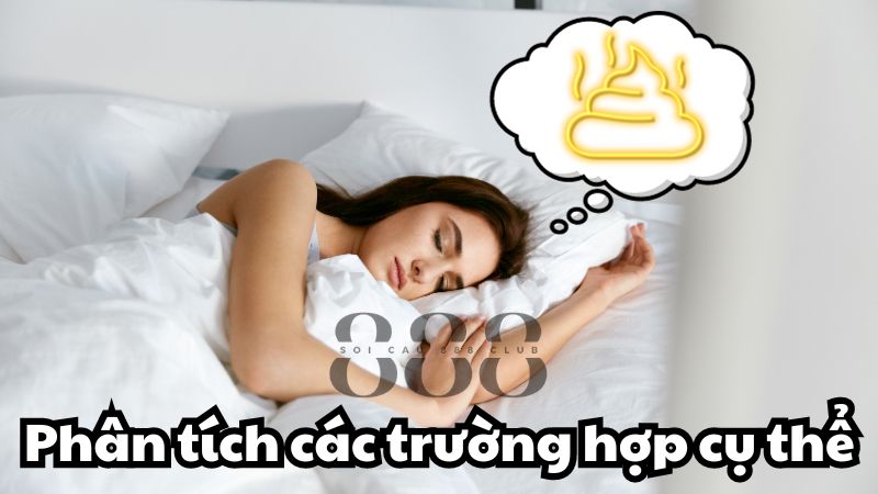 Phân tích các trường hợp cụ thể