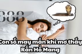 Nằm mơ thấy rắn hổ mang nên đánh con số gì dễ trúng lớn nhất