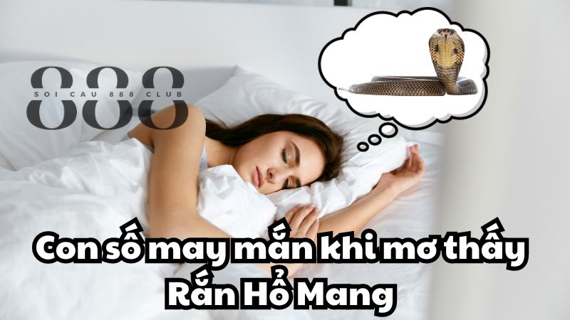 Con số may mắn khi mơ thấy Rắn Hổ Mang