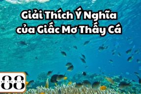 Giải mã giấc mơ thấy cá mang đến điềm gì? Đánh con số nào?