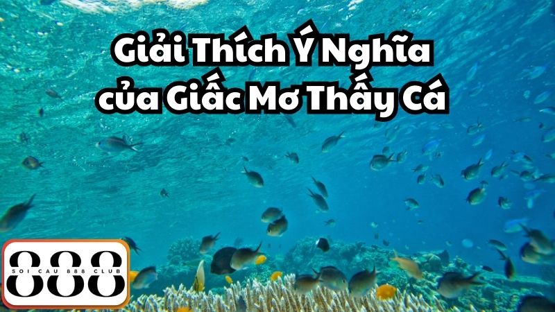 Giải Thích Ý Nghĩa của Giấc Mơ Thấy Cá