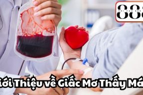 Giải mã khi bạn có giấc mơ thấy máu sẽ mang đến điềm báo gì?