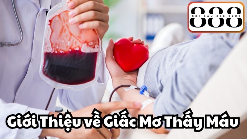 Giới Thiệu về Giấc Mơ Thấy Máu