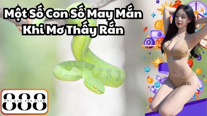 Một Số Con Số May Mắn Khi Mơ Thấy Rắn