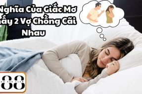 Nằm mơ thấy 2 vợ chồng cãi nhau nên đánh con số gì may mắn