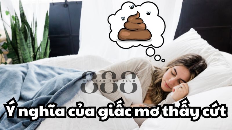 Ý nghĩa của giấc mơ thấy cứt