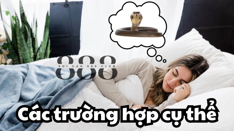 Các trường hợp cụ thể của giấc mơ thấy Rắn Hổ Mang