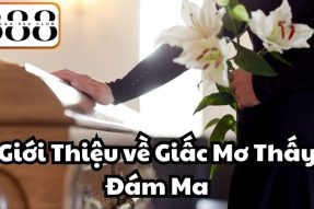 Khám phá giấc mơ thấy đám ma liệu có mang đến điềm báo xấu?