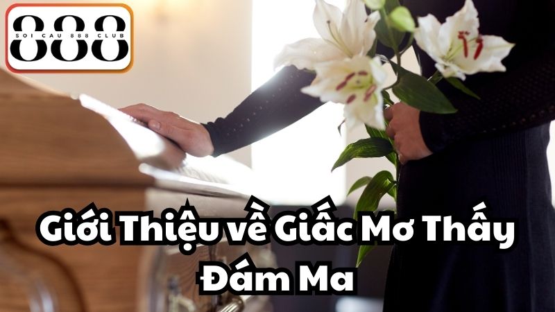 Giới Thiệu về Giấc Mơ Thấy Đám Ma