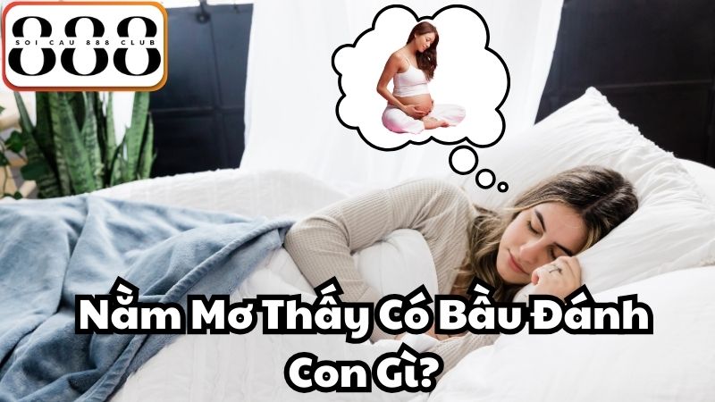 Nằm Mơ Thấy Có Bầu Đánh Con Gì?