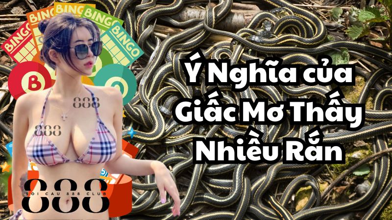 Giải Thích Ý Nghĩa của Giấc Mơ Thấy Nhiều Rắn