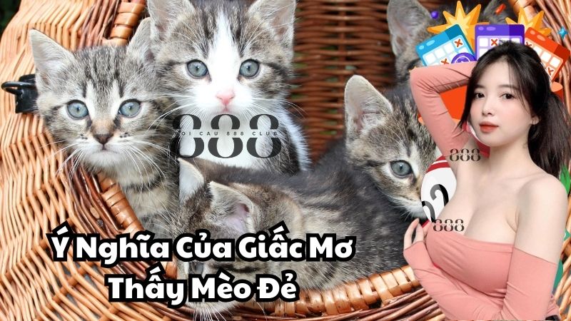 Ý Nghĩa Của Giấc Mơ Thấy Mèo Đẻ