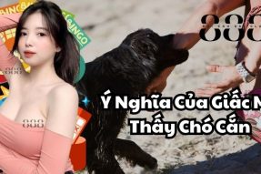 Nằm mơ thấy chó cắn nên đánh con số gì dễ dàng trúng lớn?