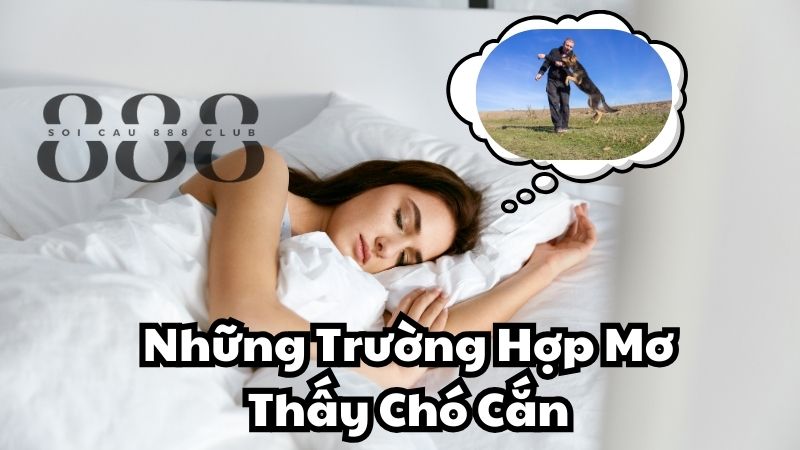 Những Trường Hợp Mơ Thấy Chó Cắn Thường Gặp