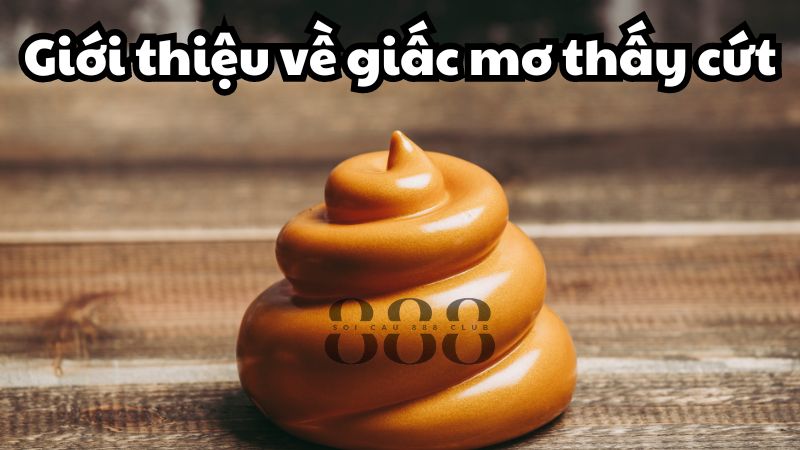 Giới thiệu về giấc mơ thấy cứt