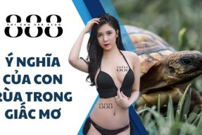 Giải đáp câu hỏi mơ thấy con rùa số mấy và ý nghĩa của nó