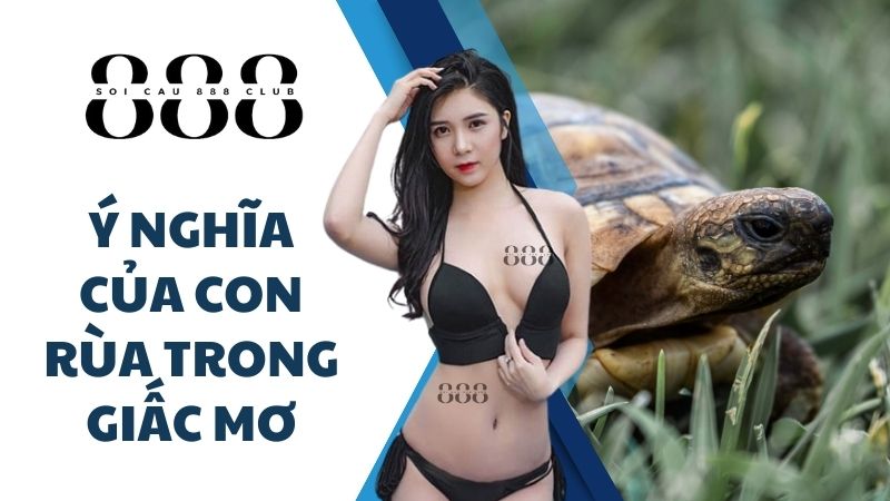 Ý Nghĩa của Con Rùa trong Giấc Mơ