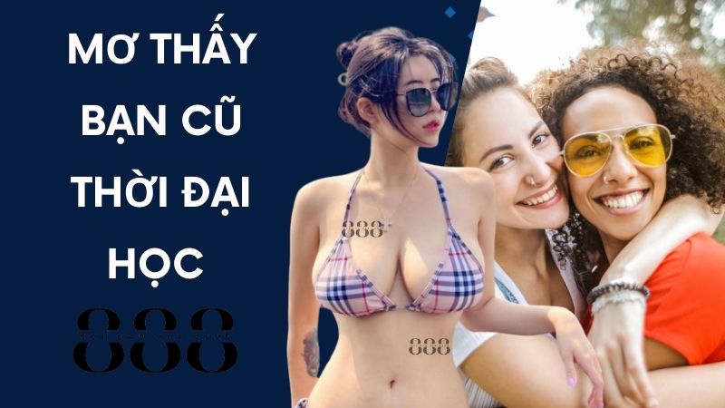 Mơ thấy bạn cũ thời đại học (27, 63, 80)