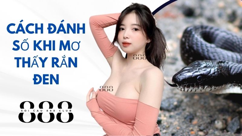 Cách Đánh Số Khi Mơ Thấy Rắn Đen?