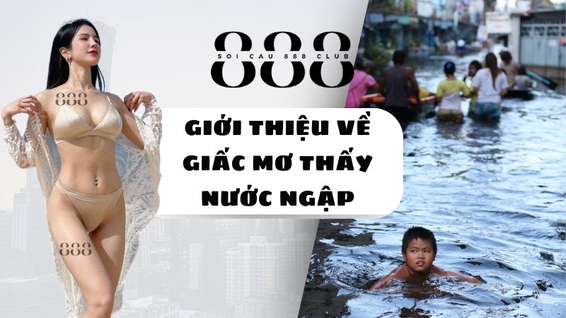 Giới Thiệu về Giấc Mơ Thấy Nước Ngập