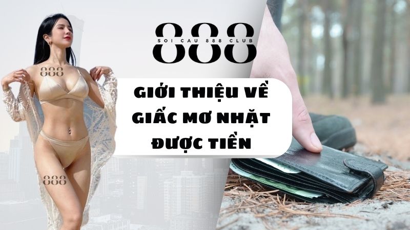 Giới Thiệu Về Giấc Mơ Nhặt Được Tiền