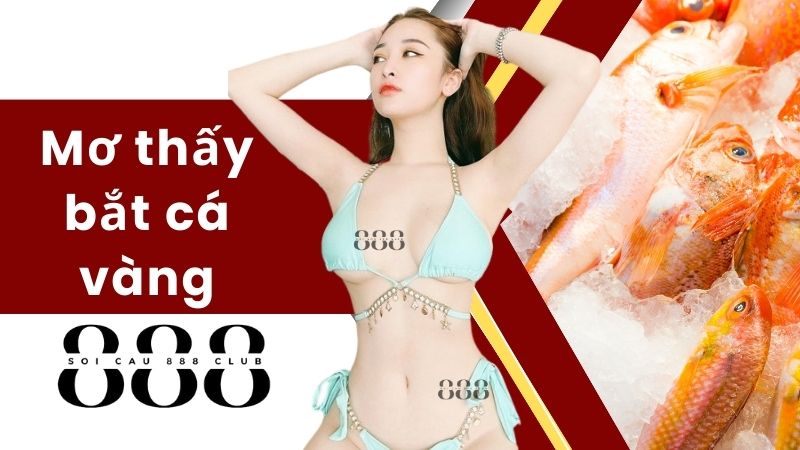 Mơ thấy bắt cá vàng (20)