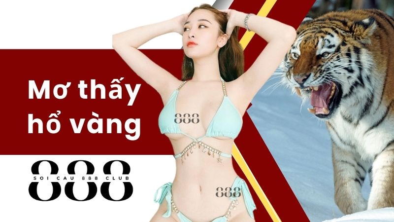 Mơ thấy hổ vàng (49)