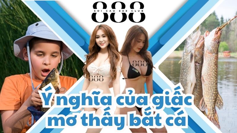 Giải thích về ý nghĩa của giấc mơ thấy bắt cá