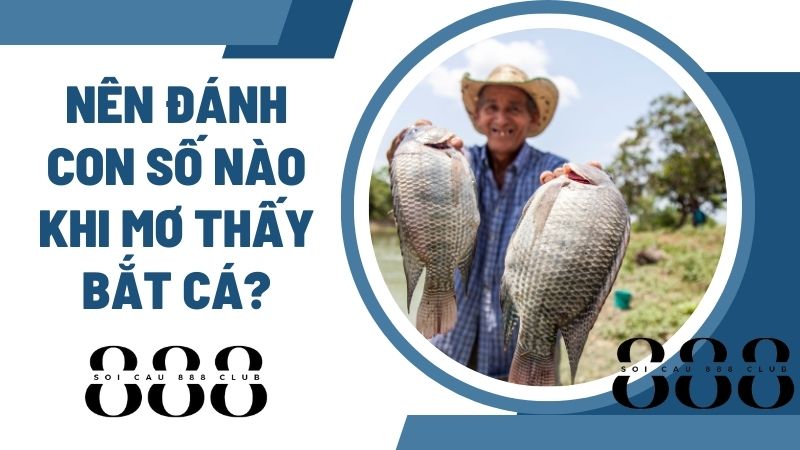 Nên đánh con số nào khi mơ thấy bắt cá?