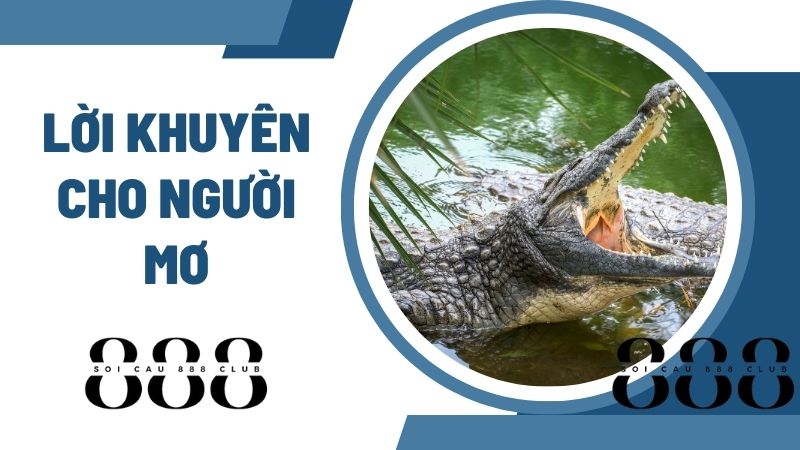 Lời khuyên cho người mơ thấy cá sấu