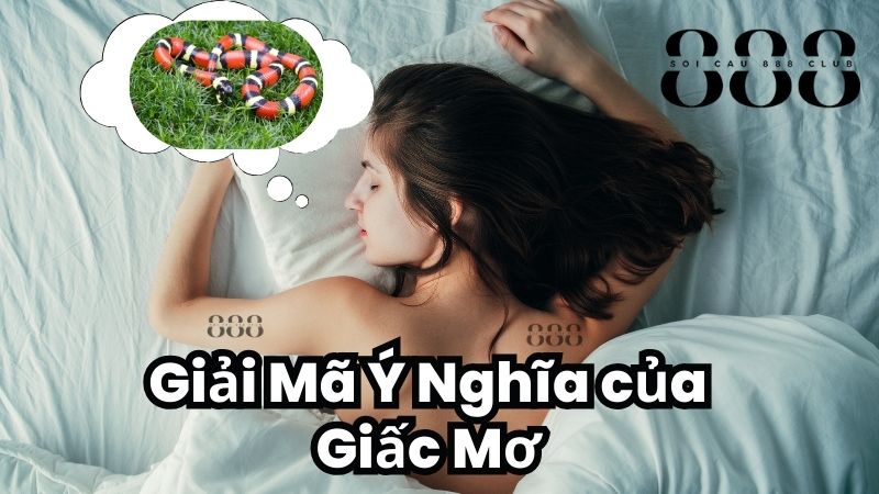 Giải Mã Ý Nghĩa của Giấc Mơ Thấy 2 Con Rắn