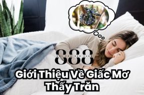 Giải mã giấc mơ thấy trăn mang đến điềm báo tốt hay xấu?