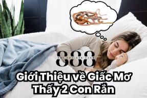 Giải mơ giấc mơ thấy 2 con rắn nên đánh con số gì may mắn