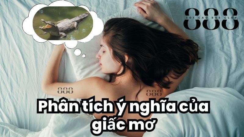 Phân tích ý nghĩa của giấc mơ thấy cá sấu theo từng tình huống cụ thể