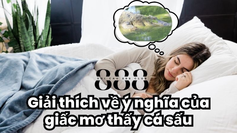 Giải thích về ý nghĩa của giấc mơ thấy cá sấu