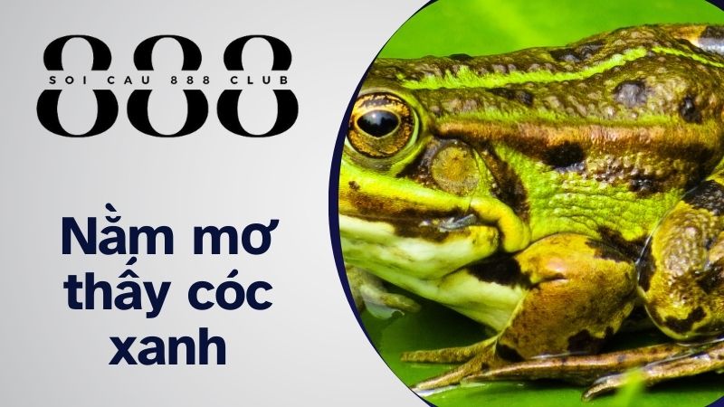 Nằm mơ thấy cóc xanh: 12 - 58