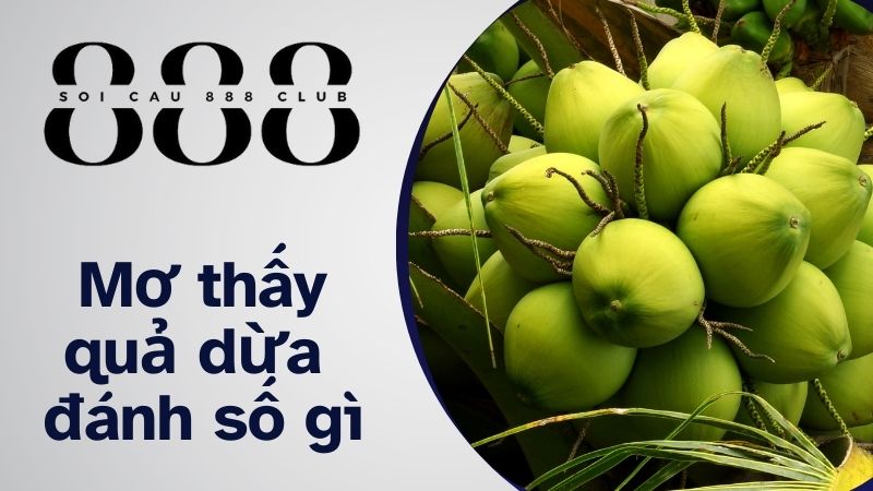 Mơ thấy quả dừa, cây dừa liên quan đến con số gì?