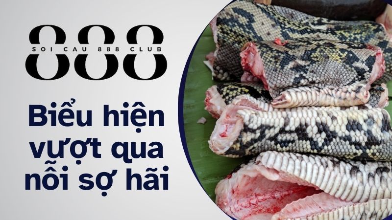 Biểu hiện vượt qua nỗi sợ hãi